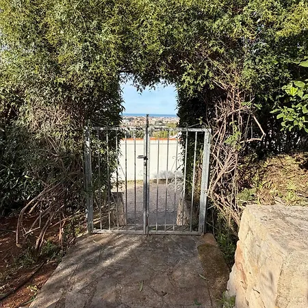 Apartment Rosa